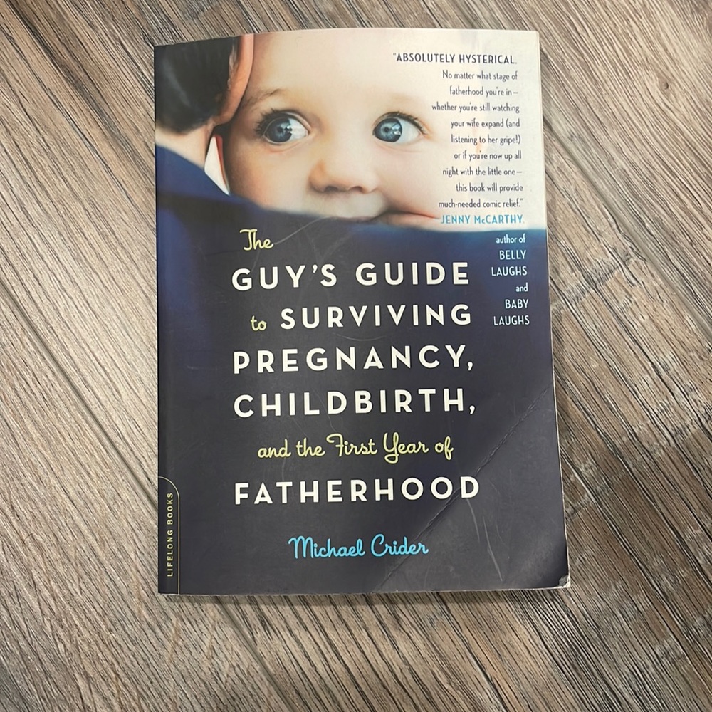 The Guys Guide To Surviving Pregnancy Ect